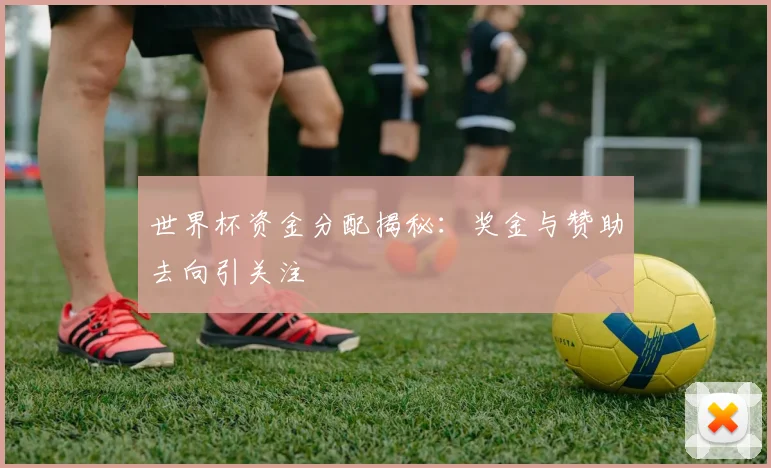 世界杯资金分配揭秘：奖金与赞助去向引关注