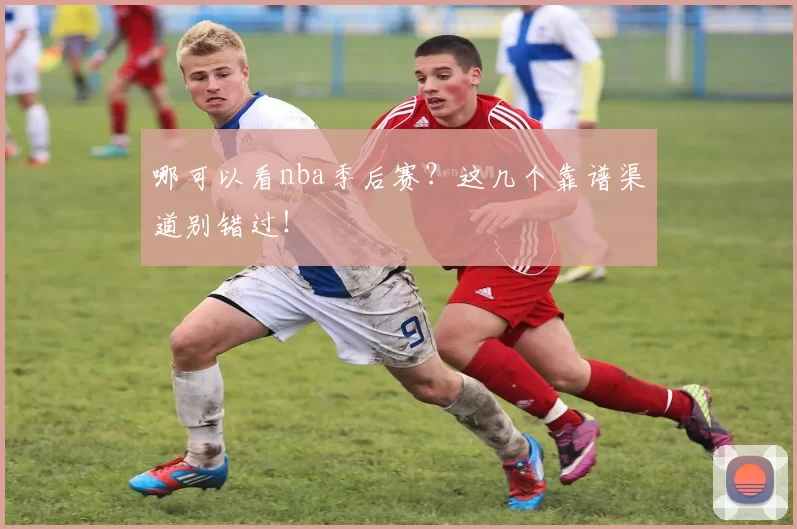 哪可以看nba季后赛？这几个靠谱渠道别错过！