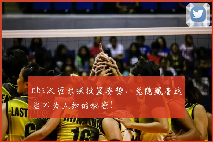 nba汉密尔顿投篮姿势，竟隐藏着这些不为人知的秘密！