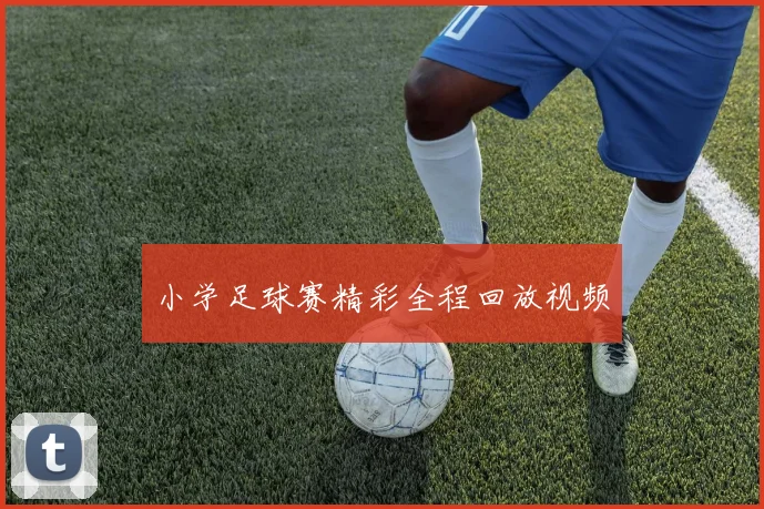 小学足球赛精彩全程回放视频
